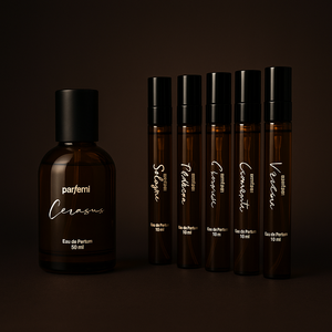 Großes Discovery Set